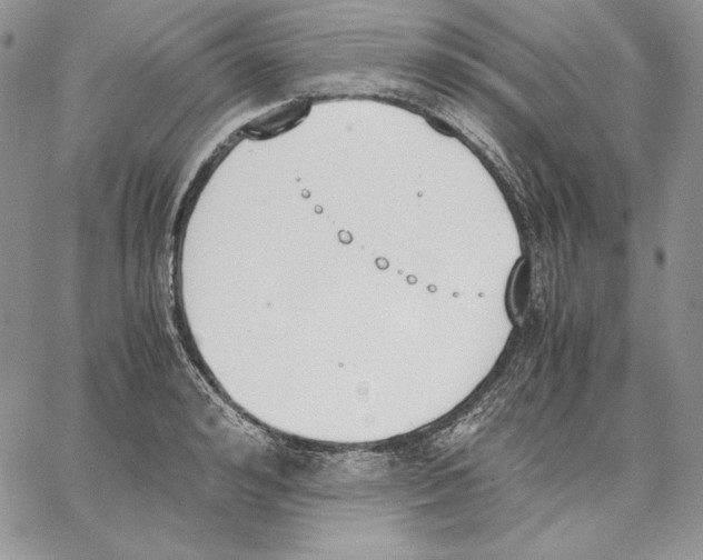 X0000062870992200602031712