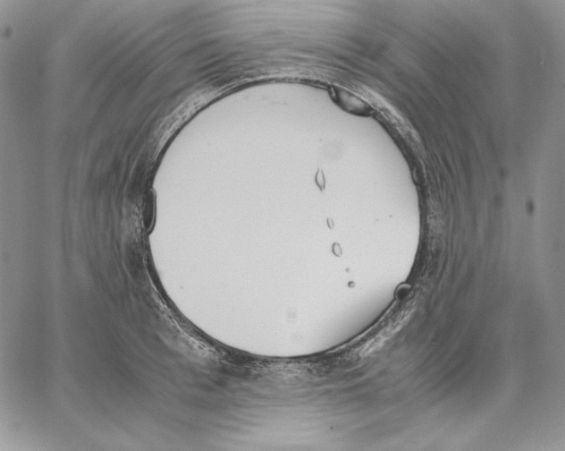 X0000062870993200602031712