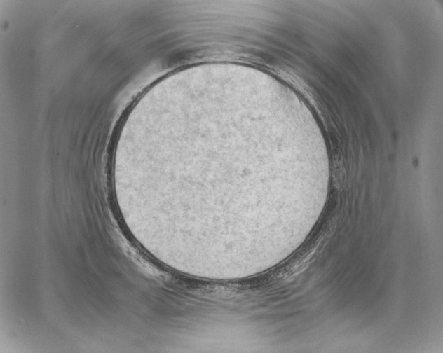 X0000062870995200602031712