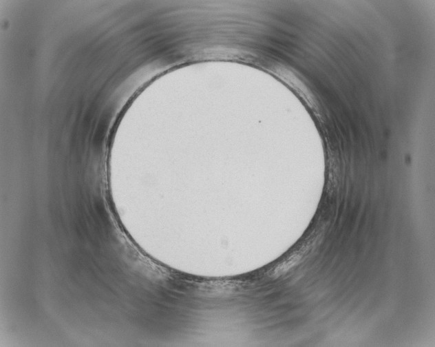 X0000062871000200602031712