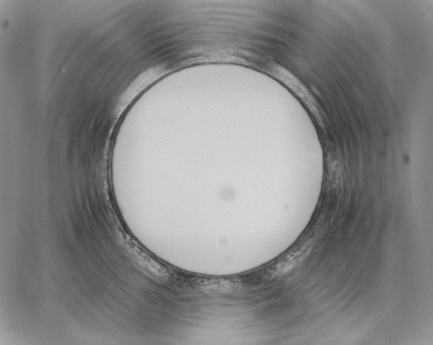 X0000062871002200602031712