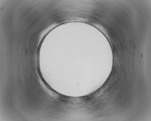 X0000062871003200602031712