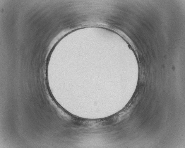 X0000062871005200602031712