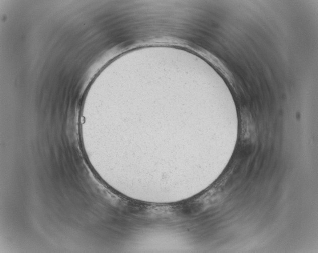 X0000062871006200602031712