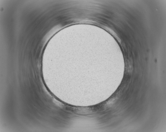 X0000062871007200602031712