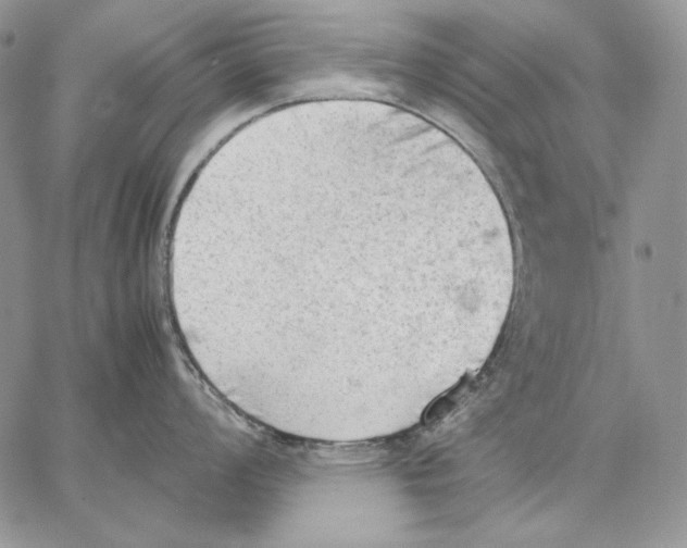 X0000062871008200602031712