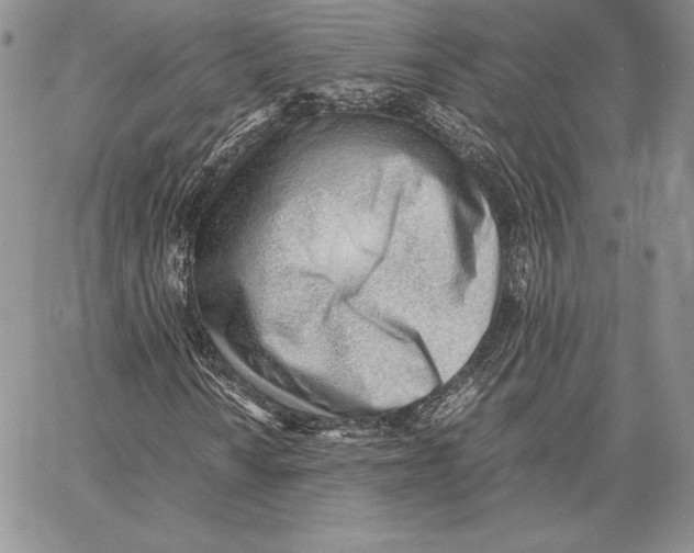 X0000062871010200602031711