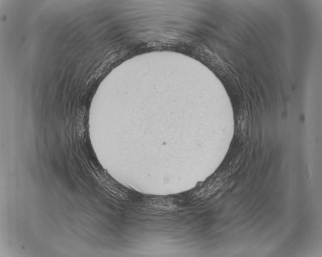 X0000062871012200602031711