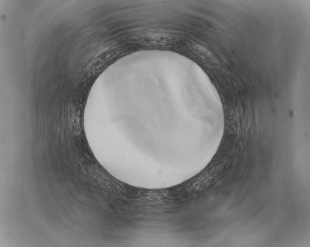 X0000062871013200602031711