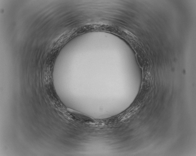 X0000062871014200602031711