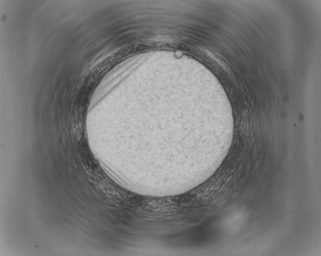 X0000062871015200602031711