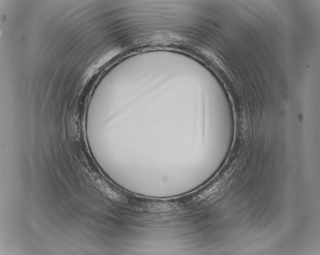 X0000062871018200602031711