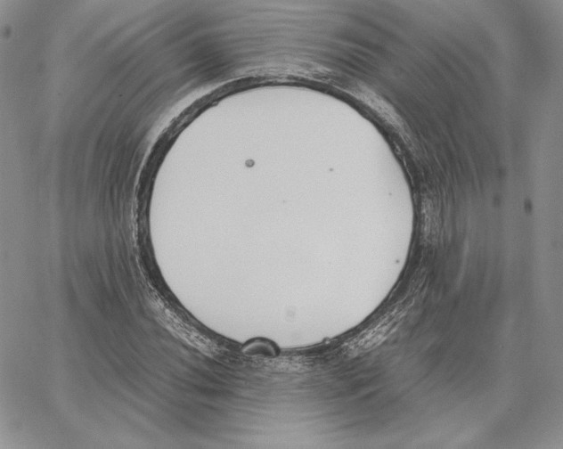 X0000062871020200602031711