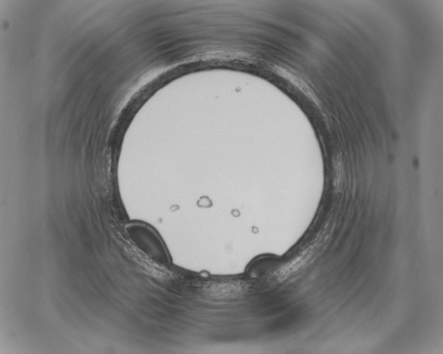 X0000062871021200602031711