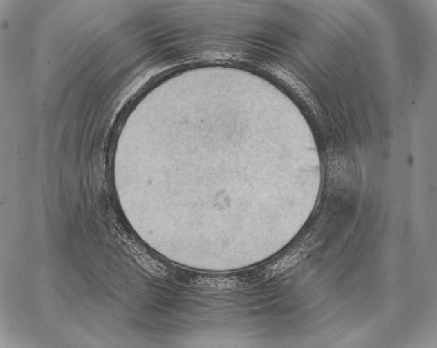 X0000062871023200602031711