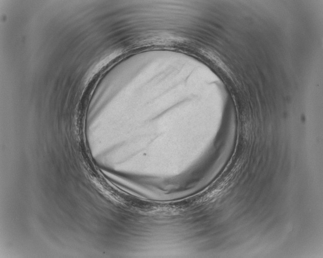 X0000062871026200602031711