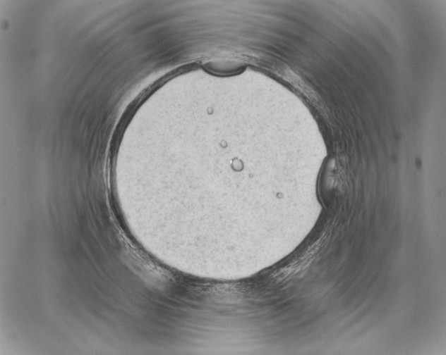 X0000062871028200602031711