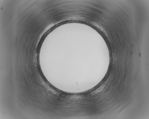 X0000062871029200602031711