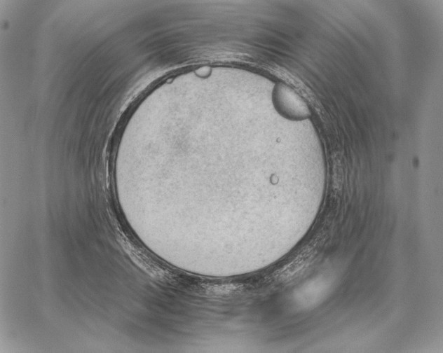 X0000062871031200602031711