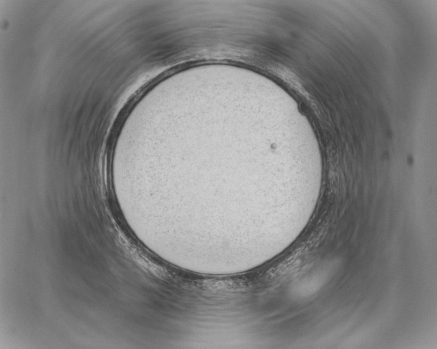 X0000062871032200602031711