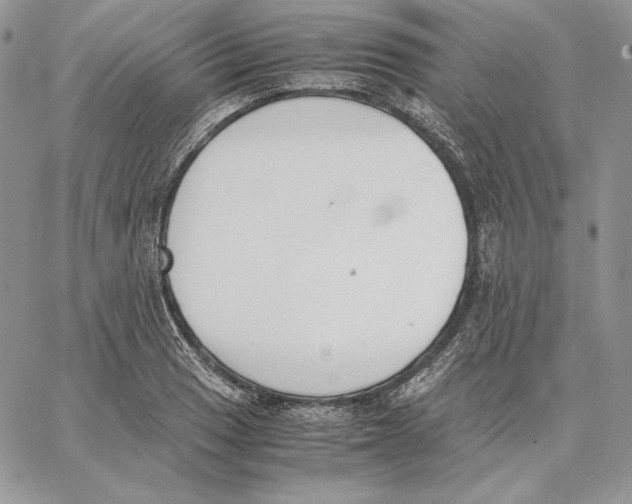 X0000062871033200602031711