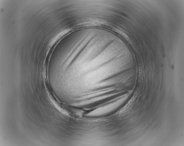 X0000062871034200602031712