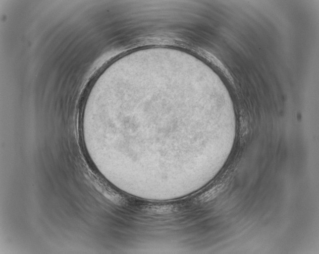 X0000062871035200602031712