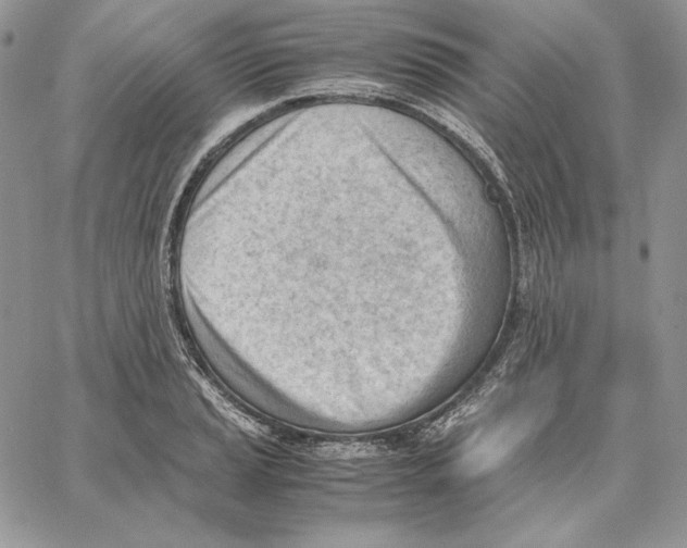 X0000062871037200602031712