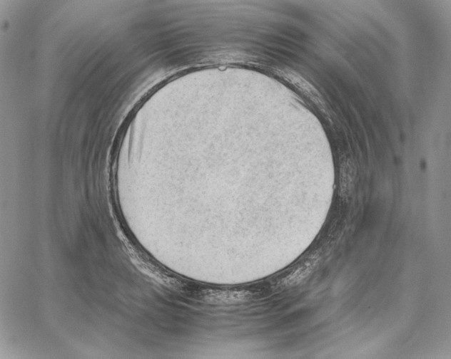 X0000062871039200602031712