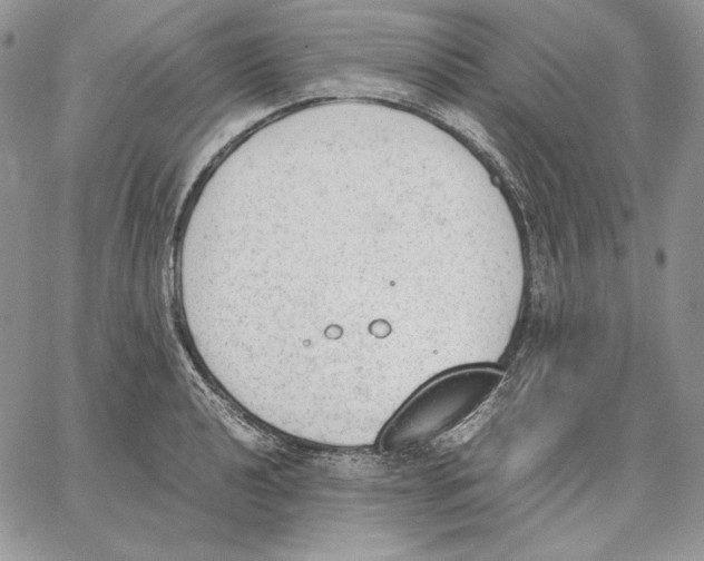 X0000062871040200602031712