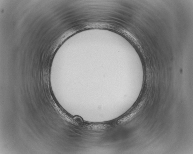 X0000062871041200602031712