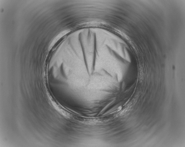 X0000062871042200602031712