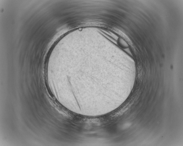 X0000062871043200602031712