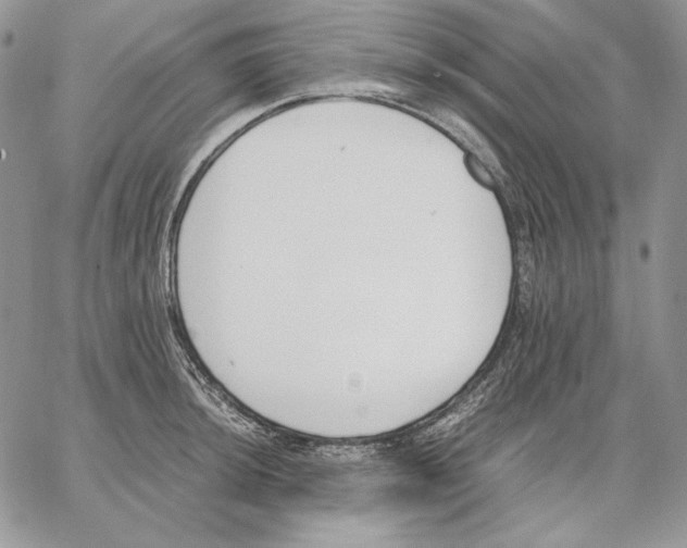 X0000062871044200602031712