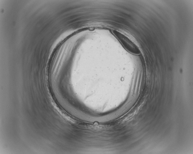 X0000062871045200602031712