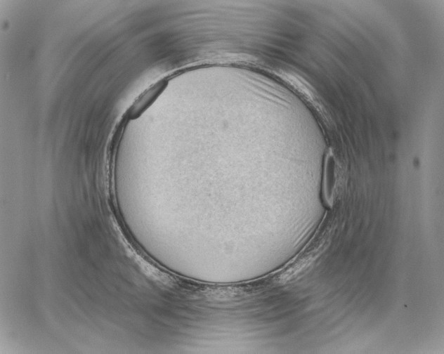 X0000062871046200602031712