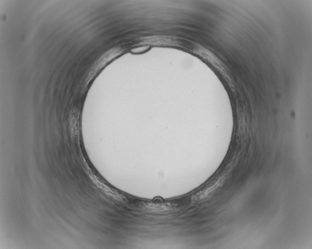 X0000062871049200602031712