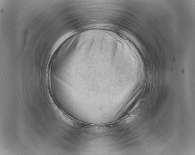 X0000062871050200602031712