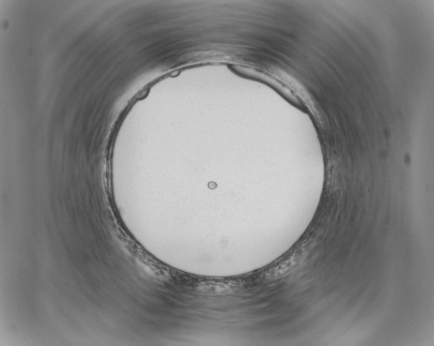 X0000062871051200602031712