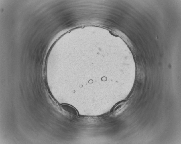 X0000062871052200602031712