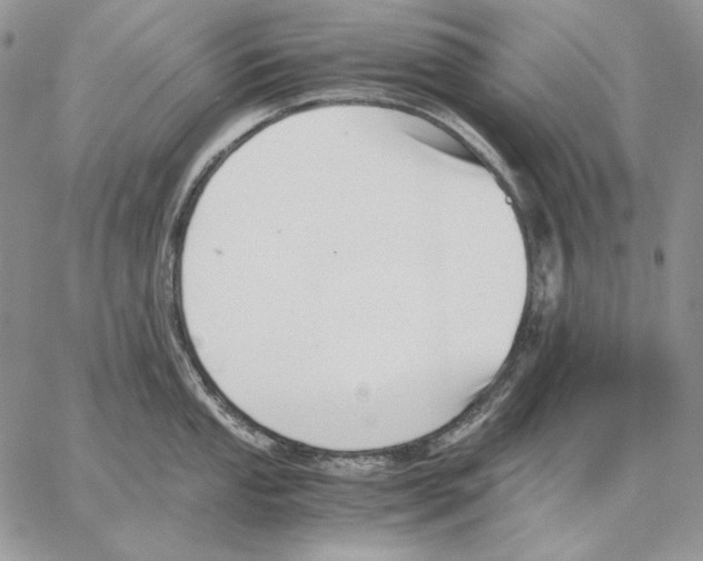 X0000062871053200602031712