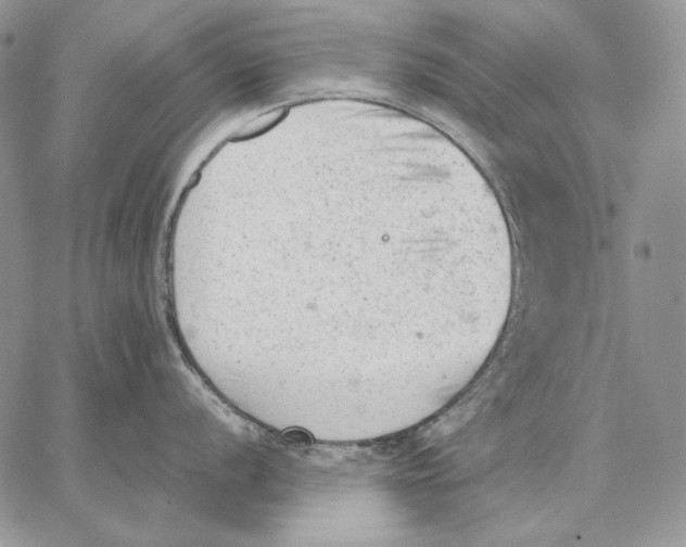 X0000062871056200602031712