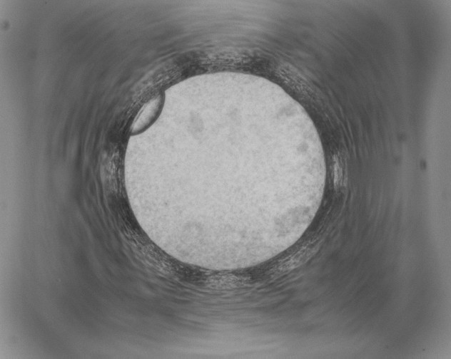 X0000062871059200602031711