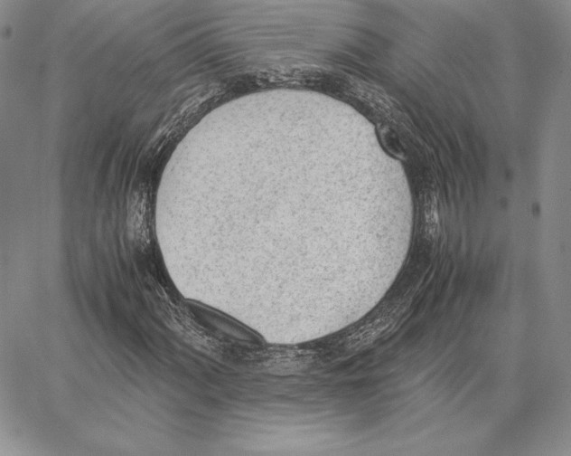 X0000062871060200602031711