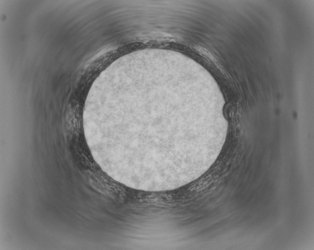 X0000062871063200602031711