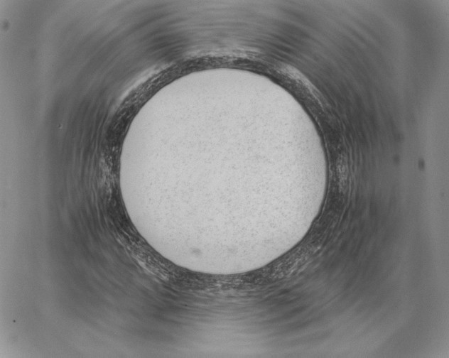 X0000062871064200602031711