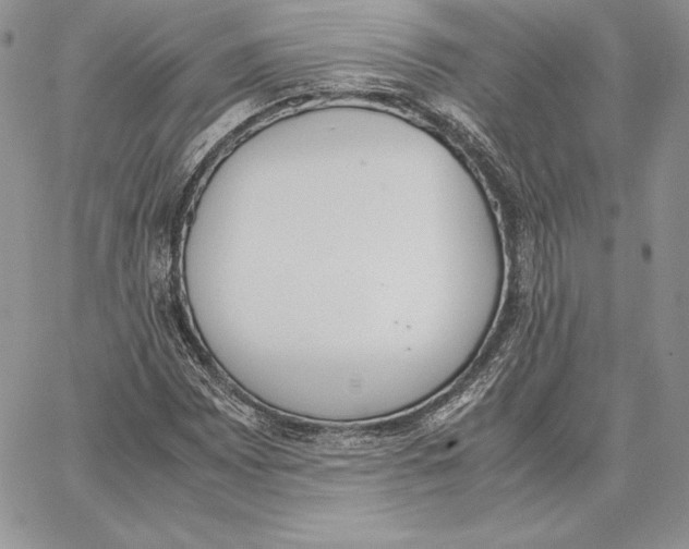 X0000062871065200602031711