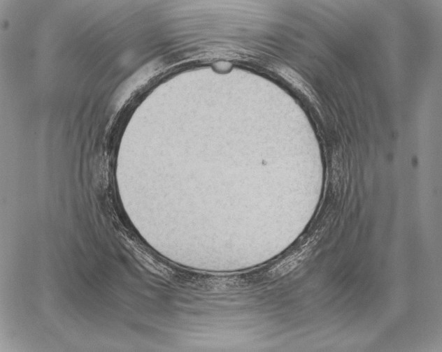 X0000062871067200602031711