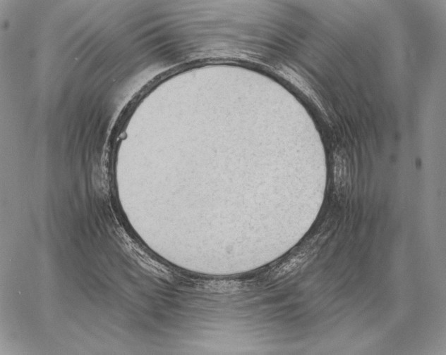 X0000062871068200602031711