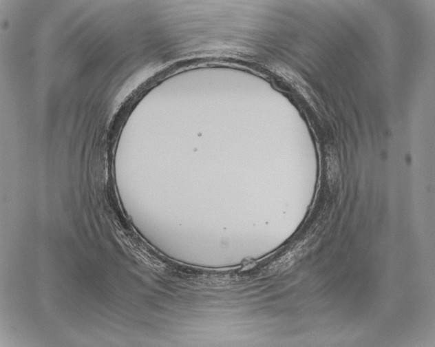 X0000062871069200602031711